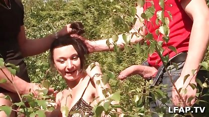 Solo-Video eines lus ...